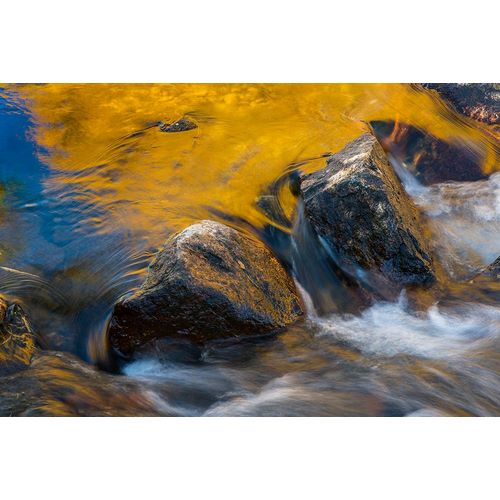 Sederquist, Betty 아티스트의 Usa-California Morning sun shines gold on the waters of the South Fork American River작품입니다.